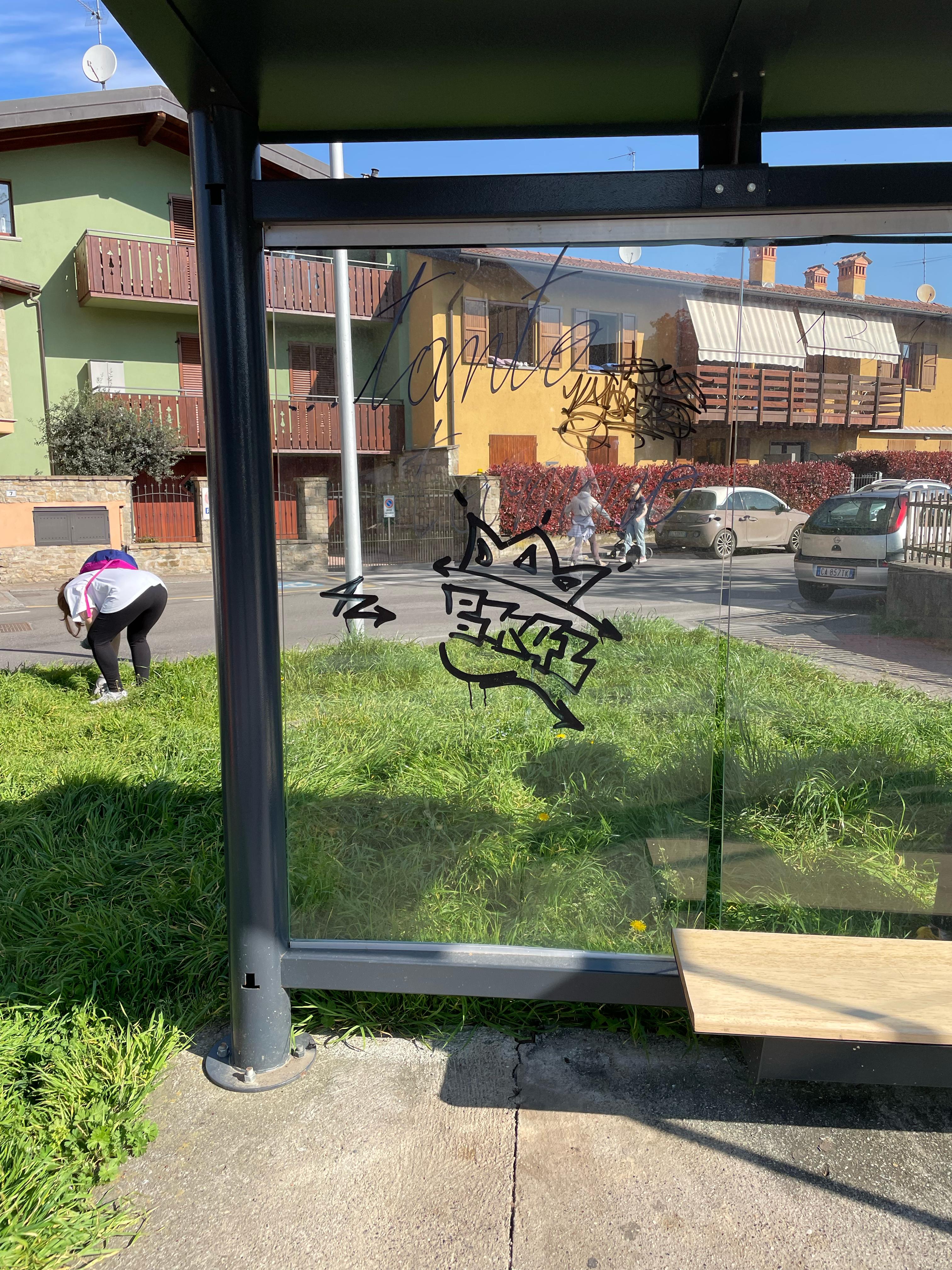 Immagine della segnalazione
